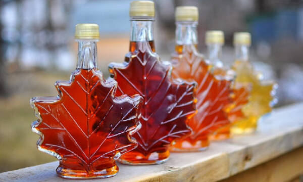 Пострадавший от краха FTX/Alameda протокол Maple Finance запускает институциональное кредитование Пострадавший от краха FTX/Alameda протокол Maple Finance запускает институциональное кредитование