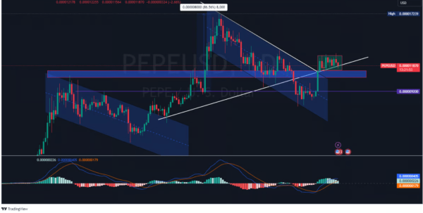К сентябрю 2024 года токен-мем PEPE может вырасти на 80% К сентябрю 2024 года токен-мем PEPE может вырасти на 80%