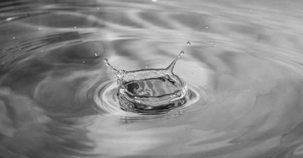 Криптo, подавляющие PRIME брокеров, являются шагом назад для эффективности рынка, говорят трейдеры Криптo, подавляющие PRIME брокеров, являются шагом назад для эффективности рынка, говорят трейдеры