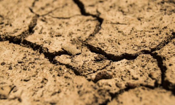 FTX-утверждает, что брокер присвоил миллионы, потратив их на ювелирные изделия, предметы искусства и роскошные отели FTX-утверждает, что брокер присвоил миллионы, потратив их на ювелирные изделия, предметы искусства и роскошные отели