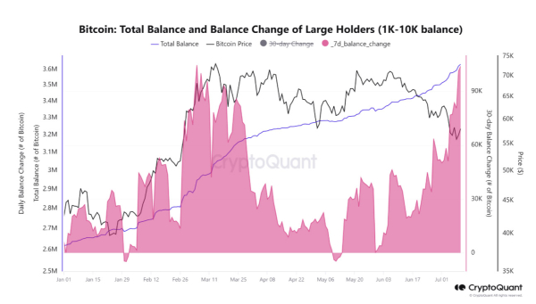 Институционалы выкупают падение: 100&nbsp;000 BTC за неделю