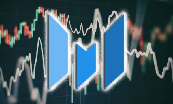 Рынок криптовалют показывает уверенный рост в 2024 году Рынок криптовалют показывает уверенный рост в 2024 году