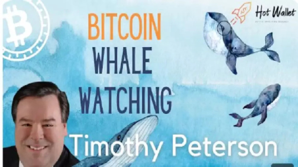 Тимоти Петерсон: &laquo;Биткоин достигнет нового исторического максимума в марте 2025 года&raquo;