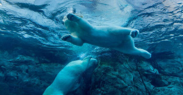 Криптo резко упала на дневных торгах в США, поскольку акции теряют прибыль Криптo резко упала на дневных торгах в США, поскольку акции теряют прибыль