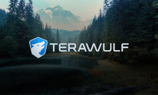 Добыча биткоинов TeraWulf упала на&nbsp;21% во втором квартале